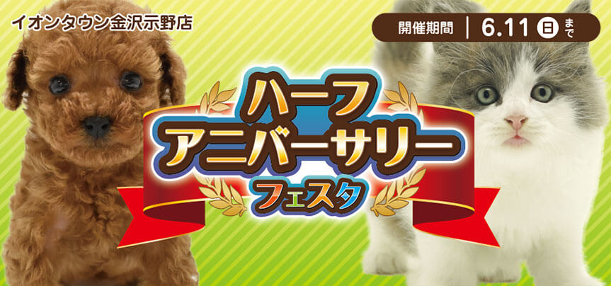 【ハーフアニバーサーリーフェスタ開催！！】石川県 ワンラブ イオンタウン金沢示野店 イベント開催！！5/27～6/11まで｜ワンラブグループ