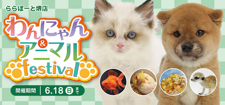 【わんにゃん&アニマルフェスティバル開催】大阪府 ワンラブ ららぽーと堺店 イベント開催！！6/3～6/18まで｜ワンラブグループ