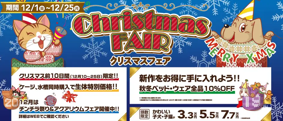 【クリスマスフェア 開催！！】ワンラブ全店｜お客様感謝イベント開催中！！ 12/1～12/25｜ワンラブグループ