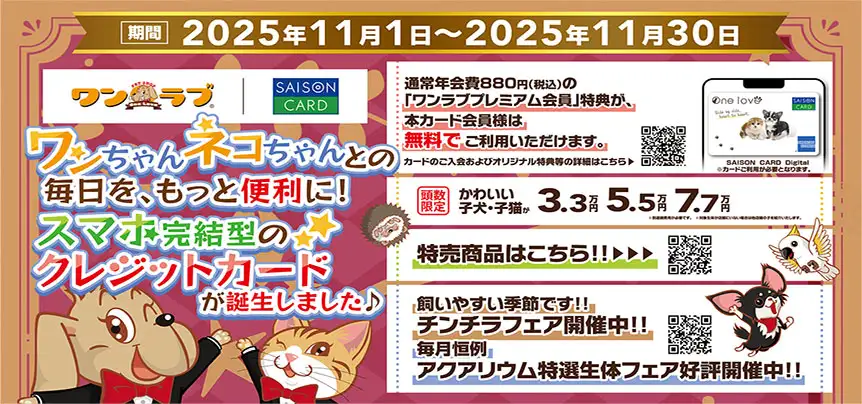 【ウィンターフェア 開催！！】秋のイベント目白押し～SAISON CARD Digital ＜ワンラブ＞誕生記念祭 ☆｜11/1～11/30まで