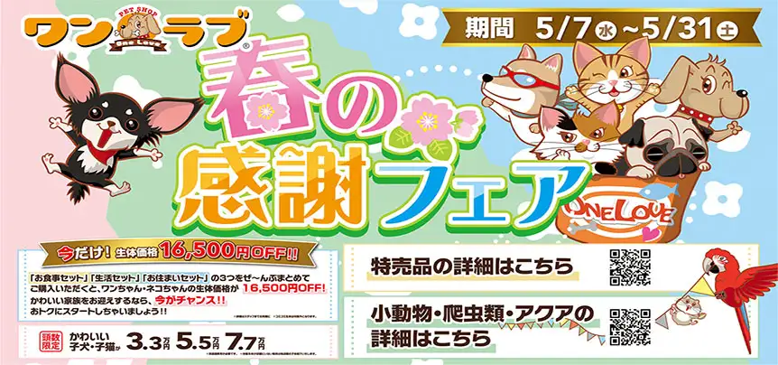 【春の感謝フェア 開催！！】全国のワンラブにて感謝フェアが開催中です！！｜5/7～5/31まで