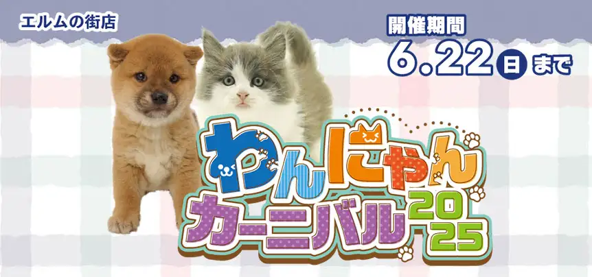 【わんにゃんカーニバル 開催！！】青森県 ワンラブ エルムの街店 わんにゃんイベント開催！！6/7～6/22まで｜ワンラブグループ