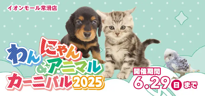【わんにゃんカーニバル 開催！！】愛知県 ワンラブ イオンモール常滑店 わんにゃん・アニマルイベント開催！！6/14～6/29まで｜ワンラブグループ