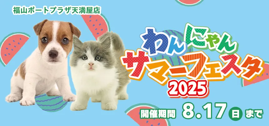 【わんにゃんサマーフェスタ開催！！】広島県 ワンラブ 福山ポートプラザ天満屋店 夏イベント開催！！8/2～8/17まで｜ワンラブグループ