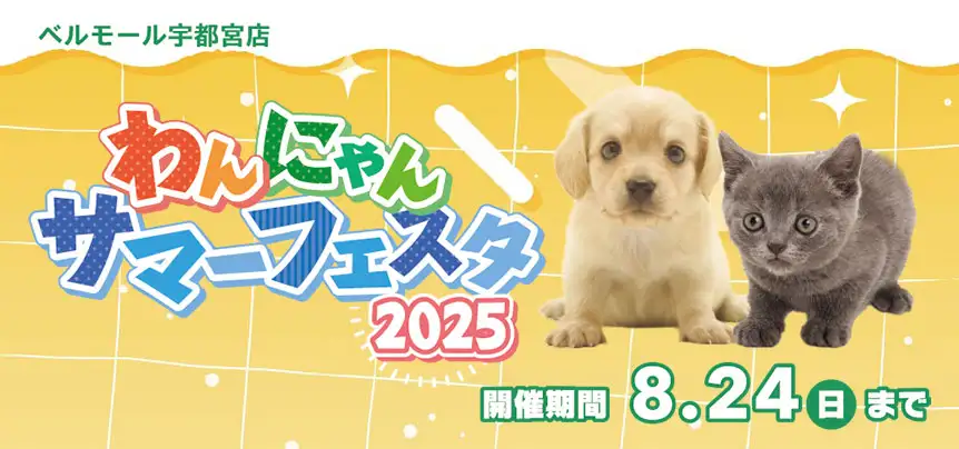 【わんにゃんサマーフェスタ開催！！】栃木県 ワンラブ ベルモール宇都宮店 夏イベント開催！！8/9～8/24まで｜ワンラブグループ