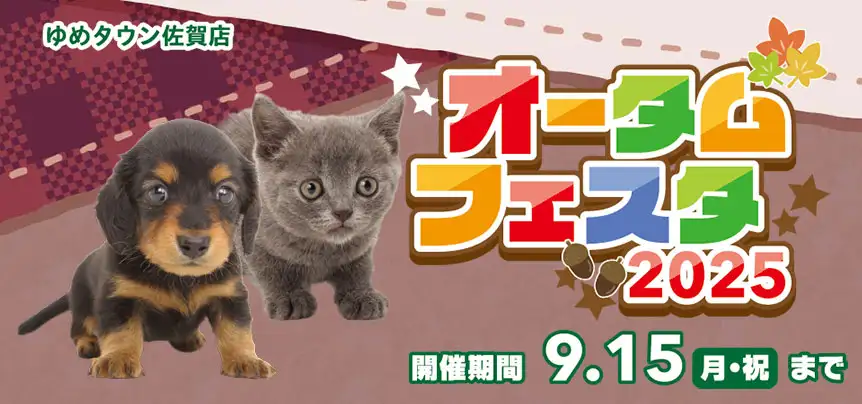 【オータムフェスタ 開催！！】佐賀県 ワンラブ ゆめタウン佐賀店 イベント開催！！8/30～9/15まで｜ワンラブグループ