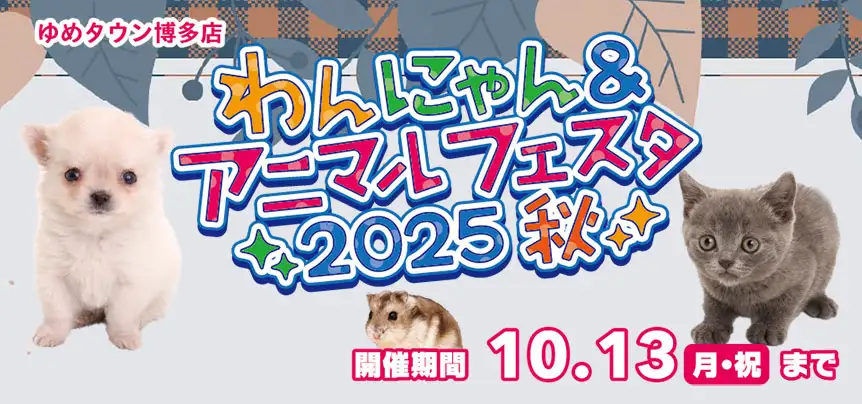 【わんにゃん&アニマルフェスタ秋 開催！！】福岡県 ワンラブ ゆめタウン博多店 秋の感謝イベント開催！！9/27～10/13まで｜ワンラブグループ