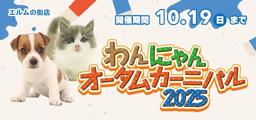 【わんにゃんオータムカーニバル 開催！！】青森県 ワンラブ エルムの街店 秋の感謝イベント開催！！10/4～10/19まで｜ワンラブグループ