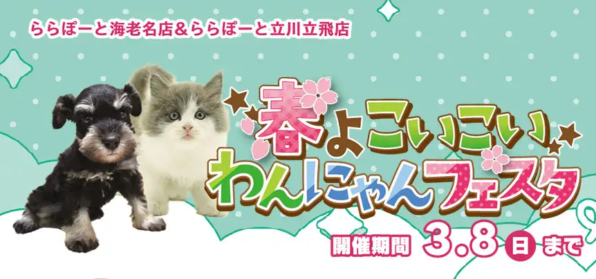 【春よこいこい☆わんにゃんフェスタ 開催!!】東京・神奈川 ワンラブ ららぽーと海老名・立川立飛店合同 フェア開催!! 2/21～3/8まで