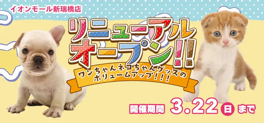 【祝！リニューアルオープン！！】愛知県 ワンラブ イオンモール新瑞橋店 リニューアルイベント開催！！3/7～3/22まで｜ワンラブグループ