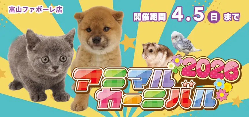 【アニマルカーニバル 開催!!】富山県 ワンラブ 富山ファボーレ店 アニマルイベント 開催中!! 3/20～4/5まで