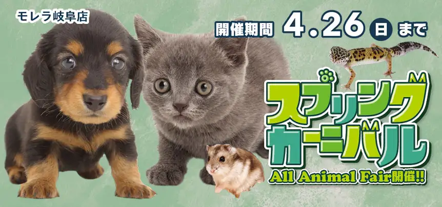 【スプリングカーニバル開催！！】岐阜県 ワンラブ モレラ岐阜店 春祭り開催！！ 4/11～4/26まで｜ワンラブグループ