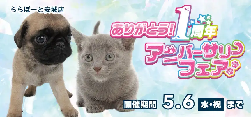 【祝！ありがとう１周年！！】愛知県 ワンラブ ららぽーと安城店 １周年アニバーサリーフェア開催！！4/18～5/6まで｜ワンラブグループ