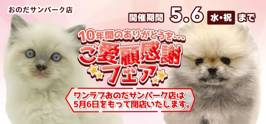 【ご愛顧感謝フェア！！】山口県 おのだサンパーク店 10年間のありがとう感謝祭開催！！ 4/18～5/6まで｜ワンラブグループ