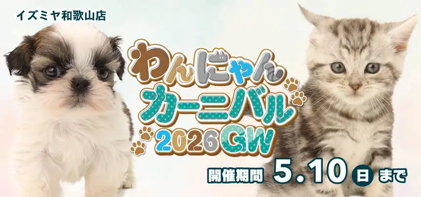 【わんにゃんカーニバル開催！！】和歌山県 ワンラブ イズミヤ和歌山店 イベント開催！！4/25～5/10まで｜ワンラブグループ