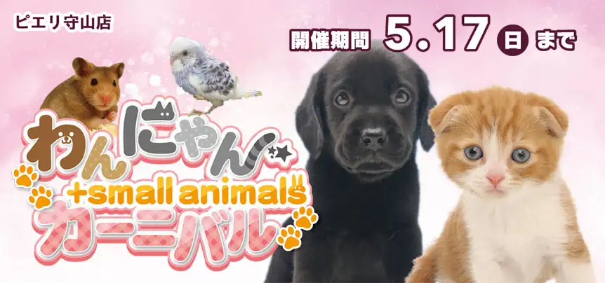 【わんにゃんカーニバル 開催！！】滋賀県 ワンラブ ピエリ守山店 わんにゃん+スモールアニマルカーニバル開催！！5/2～5/17まで｜ワンラブグループ