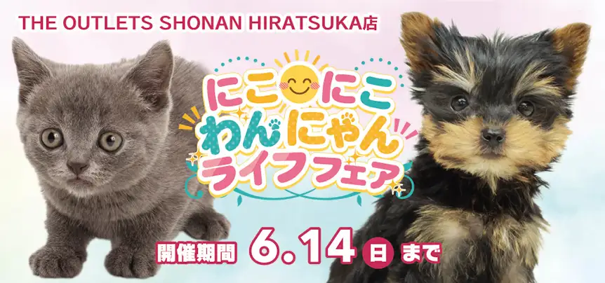 ペットショップのワンラブ 写真と動画でご紹介
