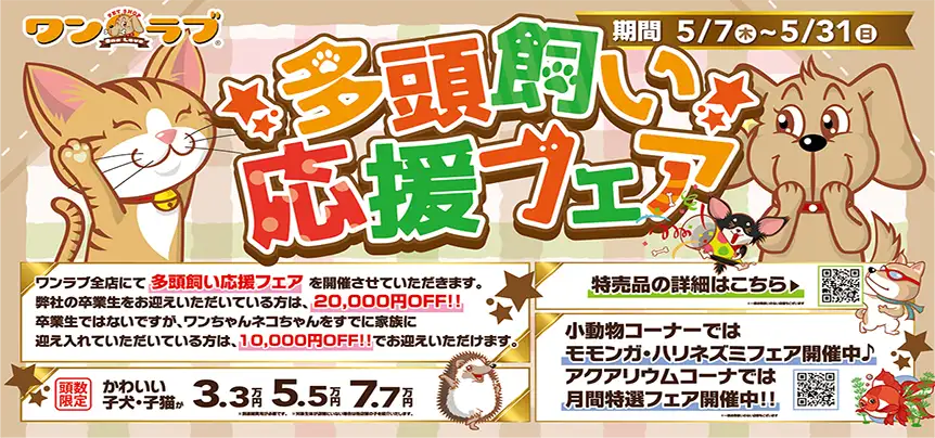 【多頭飼い応援フェア 開催！！】うちの子のお友達をワンラブでお迎えしませんか♪ ｜5/7～5/31まで