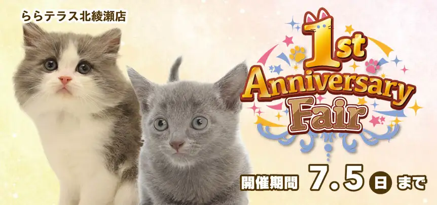 【祝!!1周年記念!!】東京都 ニャンラブららテラス北綾瀬店 アニバーサリーフェア開催！！6/20～7/5まで｜ワンラブグループ