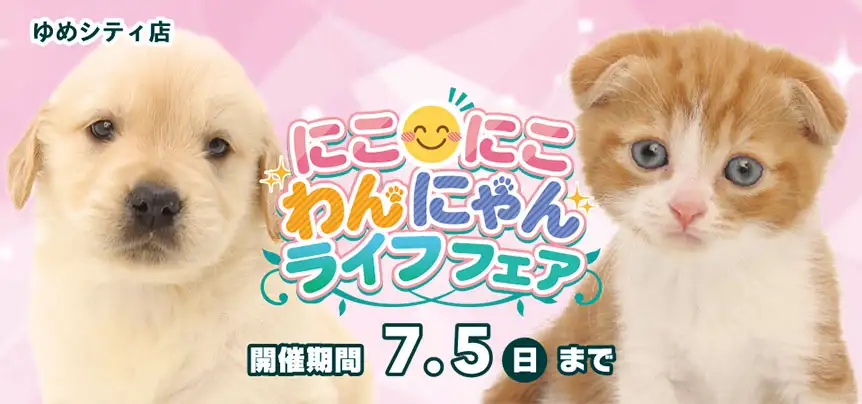 【にこにこわんにゃんライフフェア 開催！！】山口県 ワンラブ ゆめシティ店 イベント開催！！6/20～7/5まで