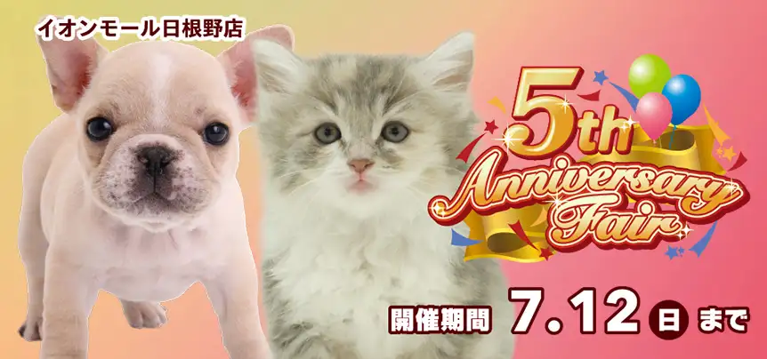 【祝!! 5周年!! 】大阪府 ワンラブ イオンモール日根野店 5th アニバーサリーフェア開催！ 6/27～7/12まで