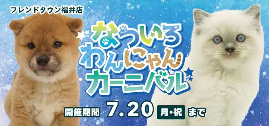 【なついろ わんにゃんカーニバル開催！！】福井県 ワンラブ フレンドタウン福井店 イベント開催！！7/4～7/20まで｜ワンラブグループ