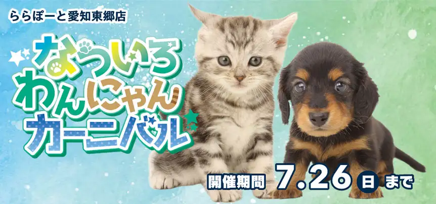 【なついろわんにゃんカーニバル!!】愛知県 ワンラブ ららぽーと東郷店 夏イベント開催！！7/11～7/26まで｜ワンラブグループ
