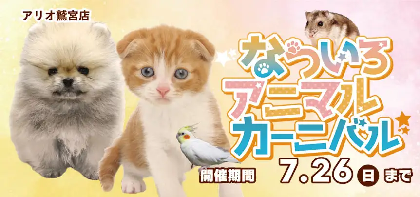 【なついろわんにゃんカーニバル 開催！！】埼玉県 ワンラブ アリオ鷲宮店 夏のイベント開催！！7/11～7/26まで｜ワンラブグループ
