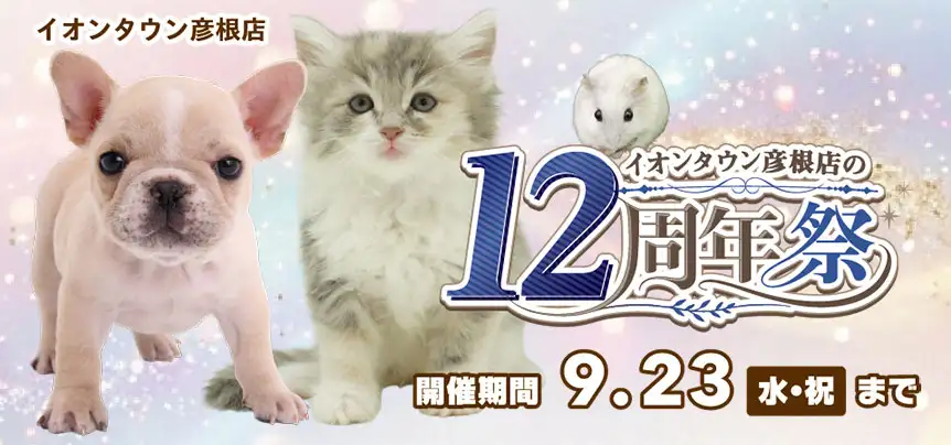 【祝！12周年感謝祭 開催!!】滋賀県 ワンラブ イオンタウン彦根店 12th Anniversary 開催中!! 9/5～9/23まで