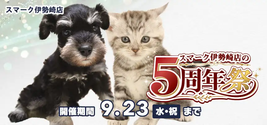 【祝!5周年記念祭 開催!!】群馬県 ワンラブ スマーク伊勢崎店 5th Anniversary 開催中!! 9/5～9/23まで