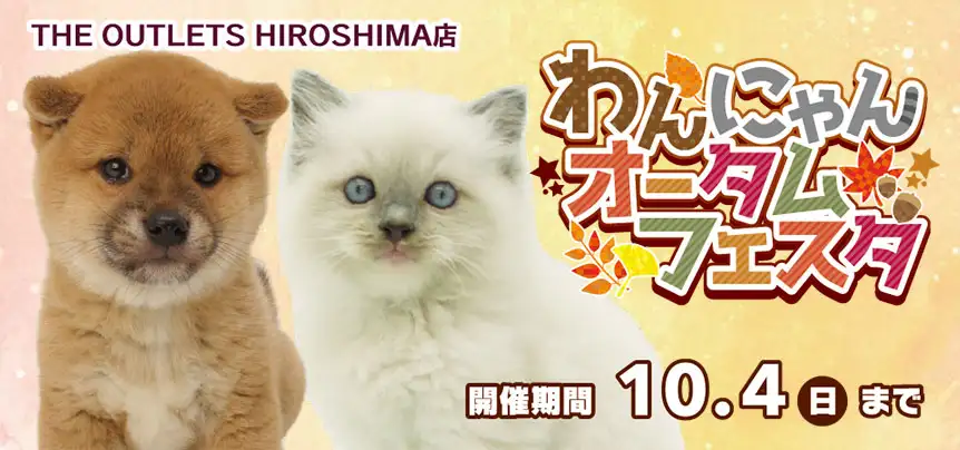 【わんにゃんオータムフェスタ 開催！！】ワンラブ アウトレット広島店 イベント開催！！9/19～10/4まで｜ワンラブグループ