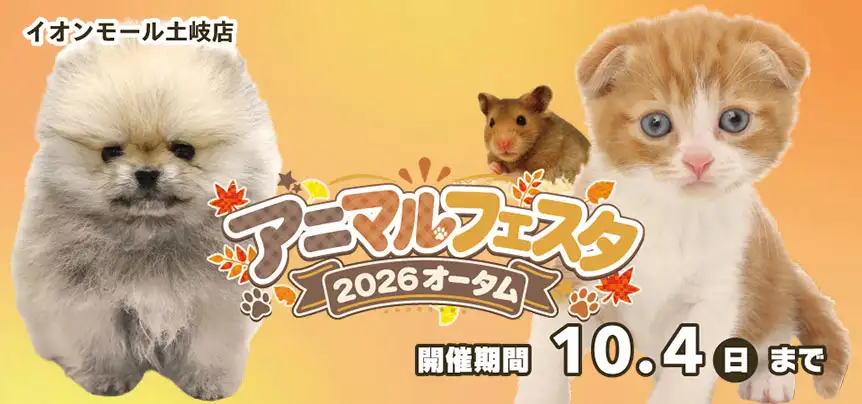 【アニマルフェスタ 2026開催！！】岐阜県 ワンラブ イオンモール土岐店 秋の感謝イベント開催！！9/19～10/4まで｜ワンラブグループ