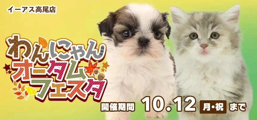 【わんにゃんオータムフェスタ 開催！！】東京都 ワンラブ イーアス高尾店 わんにゃんイベント開催！！9/26～10/12まで｜ワンラブグループ