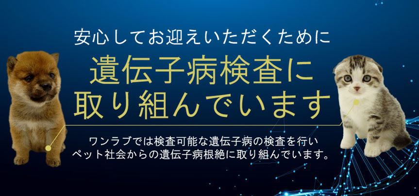 遺伝子病検査の取り組みについて｜ワンラブグループ