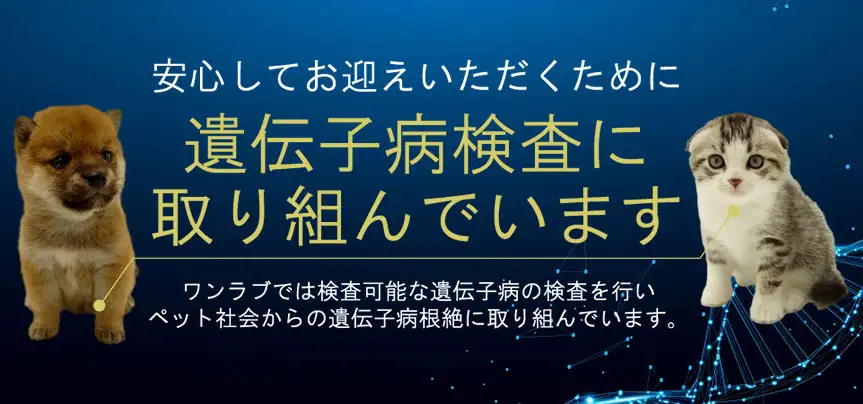 遺伝子病検査の取り組みについて｜ワンラブグループ