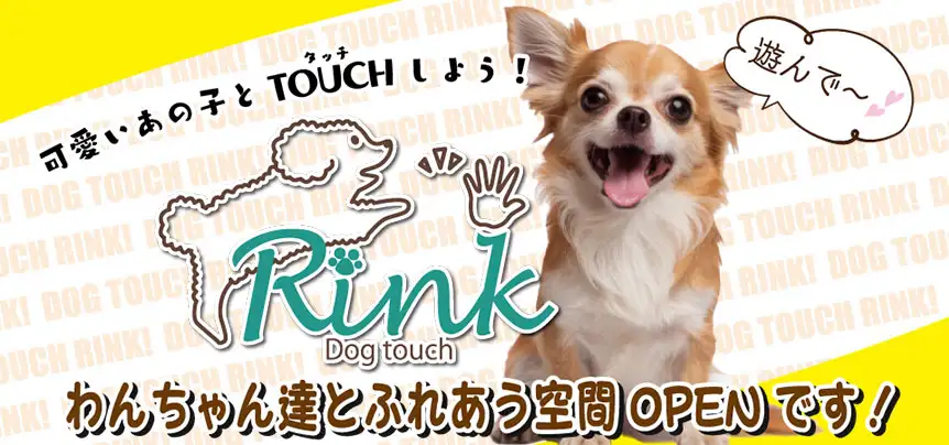 【Dog touch Rink】可愛い子犬たちと触れ合えるコーナーです♪｜ワンラブグループ