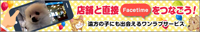 ワンラブ出逢いサービス！店舗と直接フェイスタイムをつなごう。