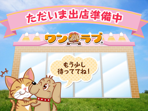 出店準備中