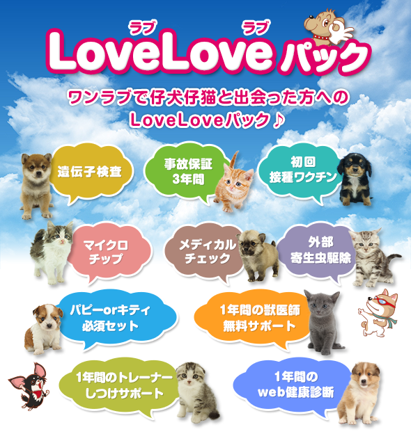 LoveLoveパックワンラブで子犬子猫と出会った方へのLoveLoveパック※ワクチン代も含んでおります
