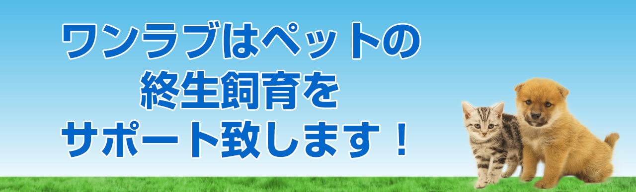 ペットの終生飼育についてのサポート