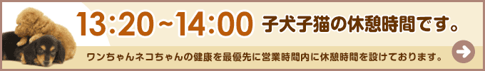 【大事なお知らせ】子犬子猫のための休憩時間のお知らせ｜ペットショップワンラブ