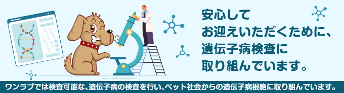 ワンラブの遺伝子病検査の取り組みについて