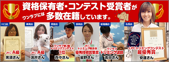 トリマー資格保有者・コンテスト受賞者がワンラブには多数在籍しております。