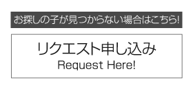 お探しの子が見つからない場合はこちら！／リクエスト申し込み