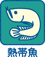 熱帯魚