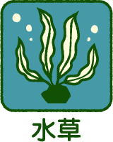 水草