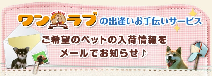 ご希望のペットの入荷情報をメールでお知らせ♪