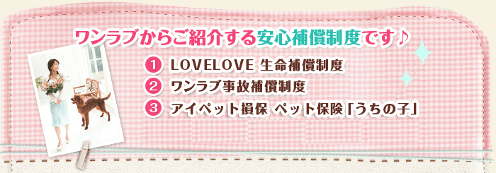 ワンラブからご紹介する安心補償制度です♪