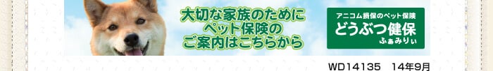 ペット保険が新登場！！