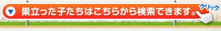 巣立った子たちはこちらから検索できます。